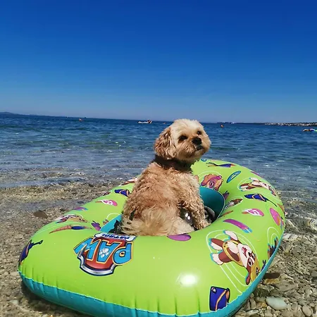 Lux Benak Apartment *