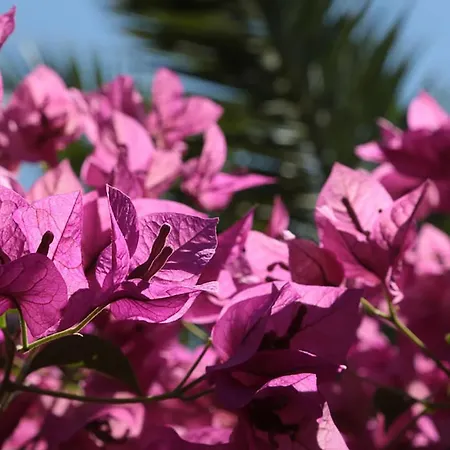 Apartmán Lux Benak Zadar