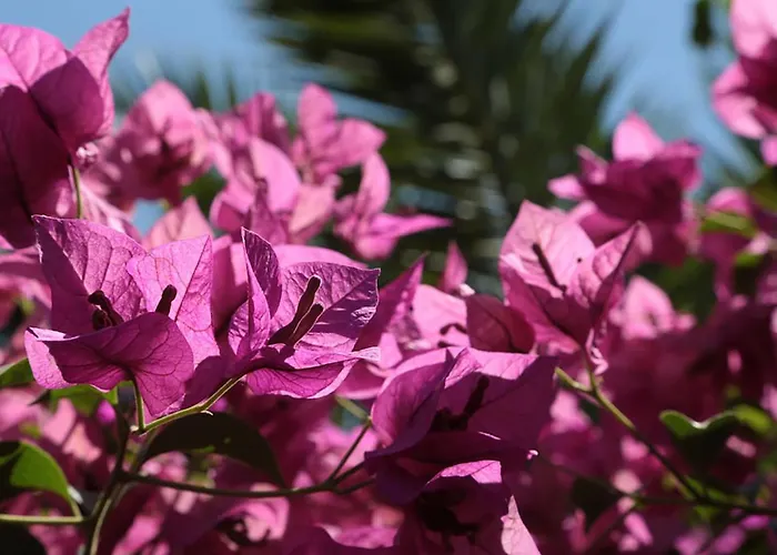 Appartement Lux Benak Zadar