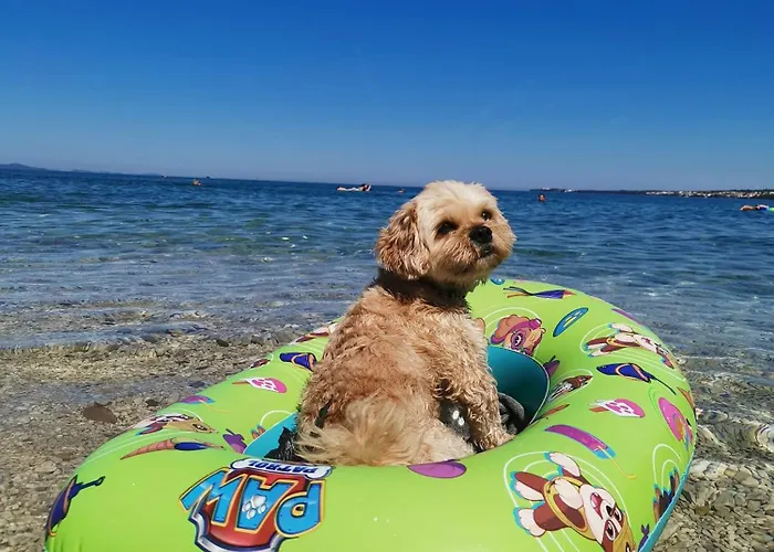 Lux Benak Appartement *